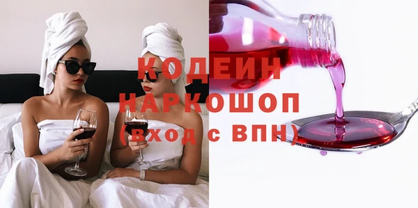 2c-b Новозыбков