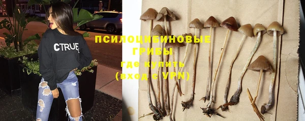 дживик Новокубанск