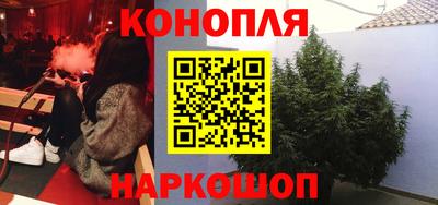 спайс Гагарин
