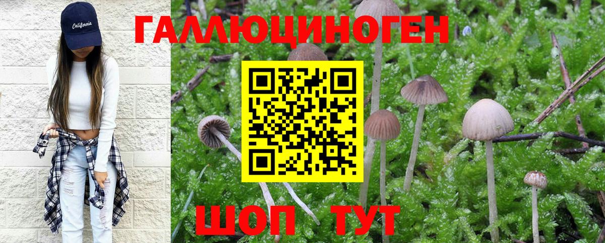 Псилоцибиновые грибы Psilocybine cubensis  Вход с VPN  цены наркотик  Калуга 