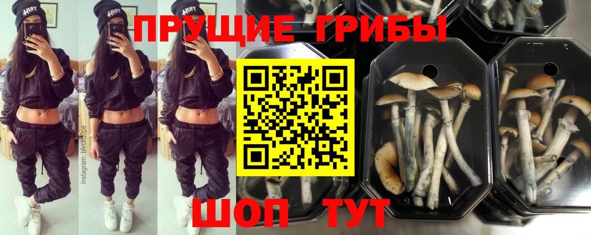 Галлюциногенные грибы MAGIC MUSHROOMS Калуга